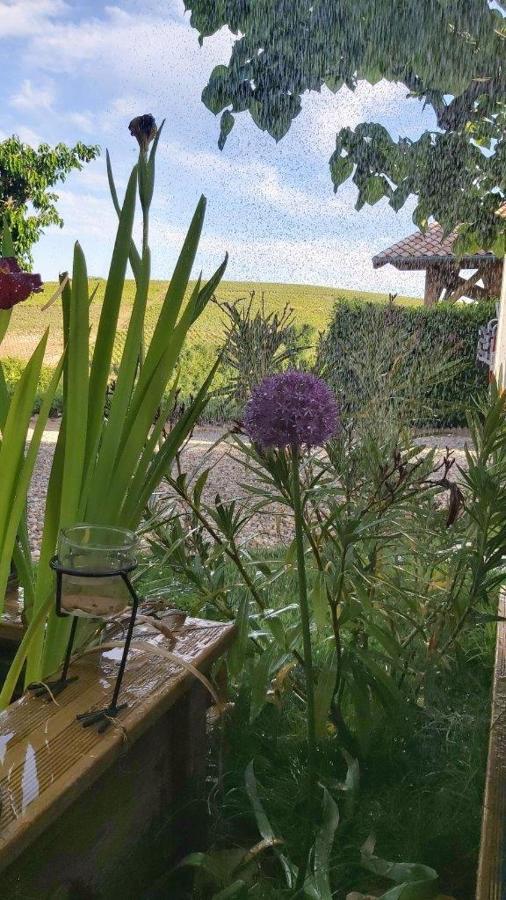 La Maison Des Vignes Charentay Eksteriør bilde