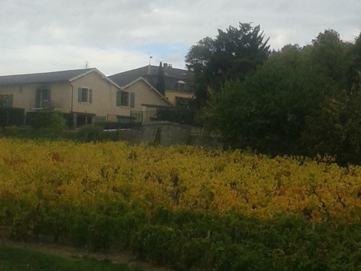 La Maison Des Vignes Charentay Eksteriør bilde