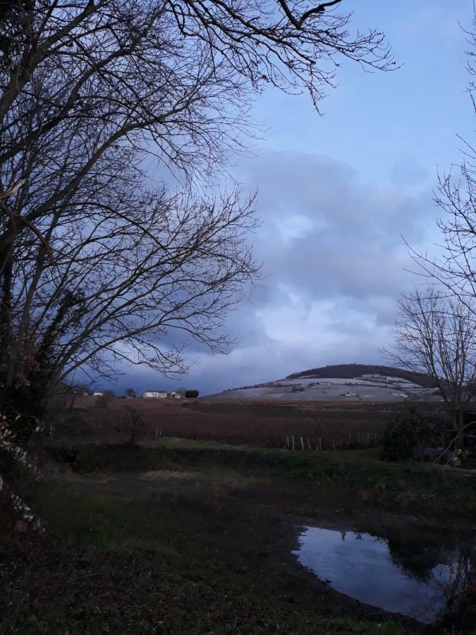 La Maison Des Vignes Charentay Eksteriør bilde