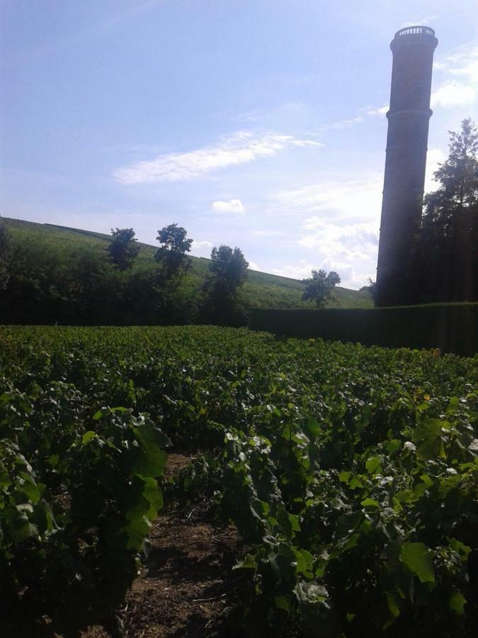 La Maison Des Vignes Charentay Eksteriør bilde