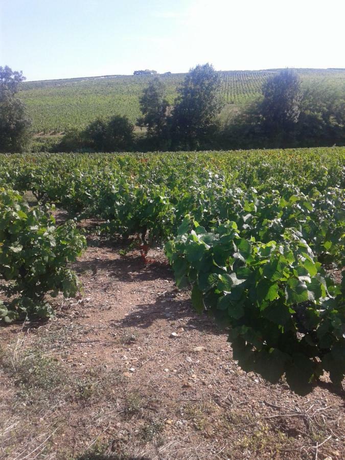 La Maison Des Vignes Charentay Eksteriør bilde