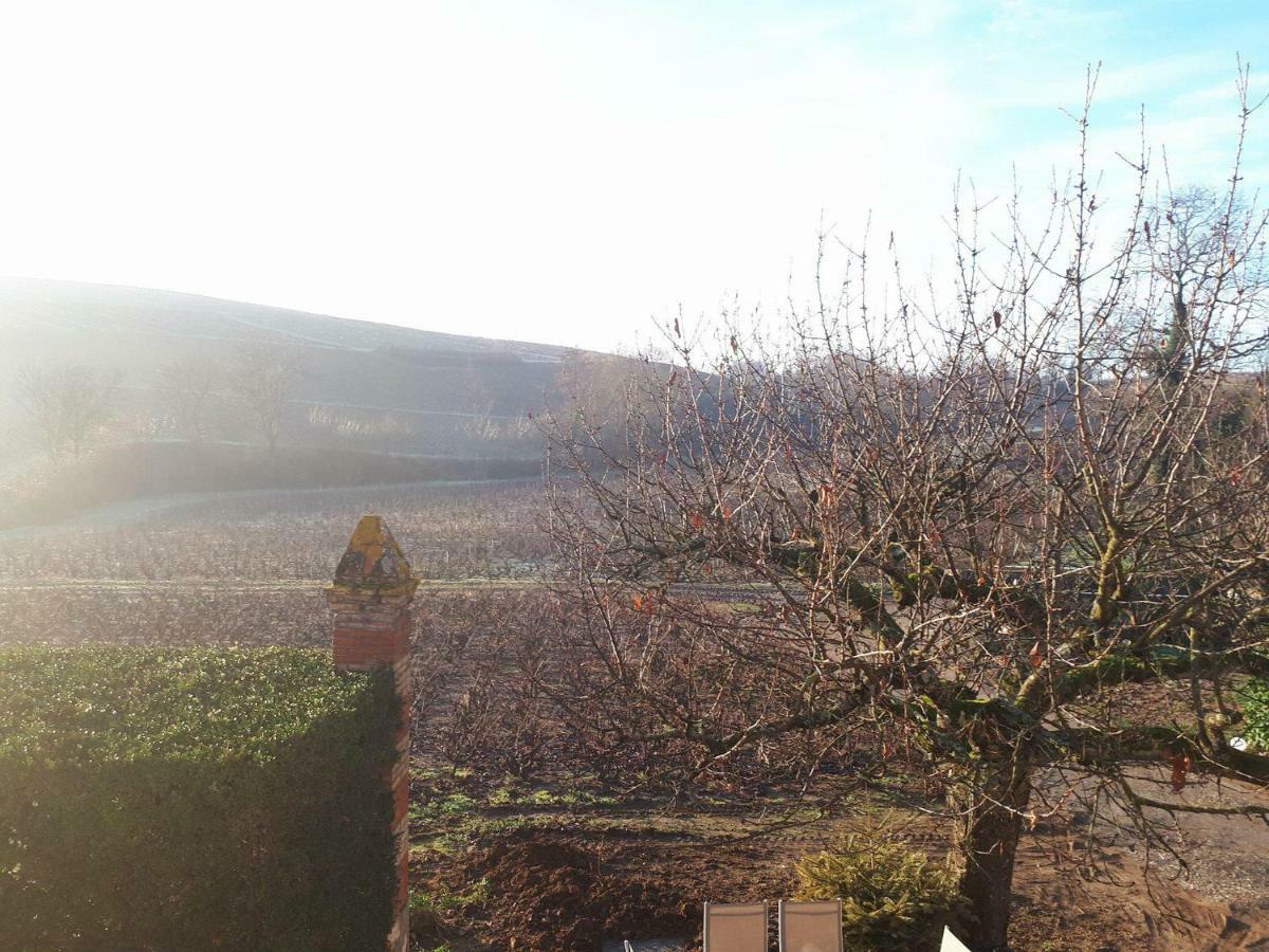 La Maison Des Vignes Charentay Eksteriør bilde