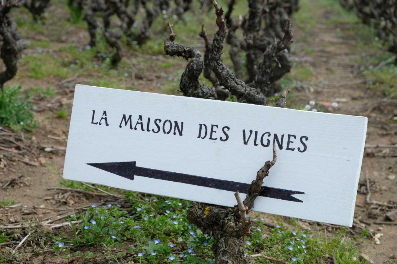 La Maison Des Vignes Charentay Eksteriør bilde